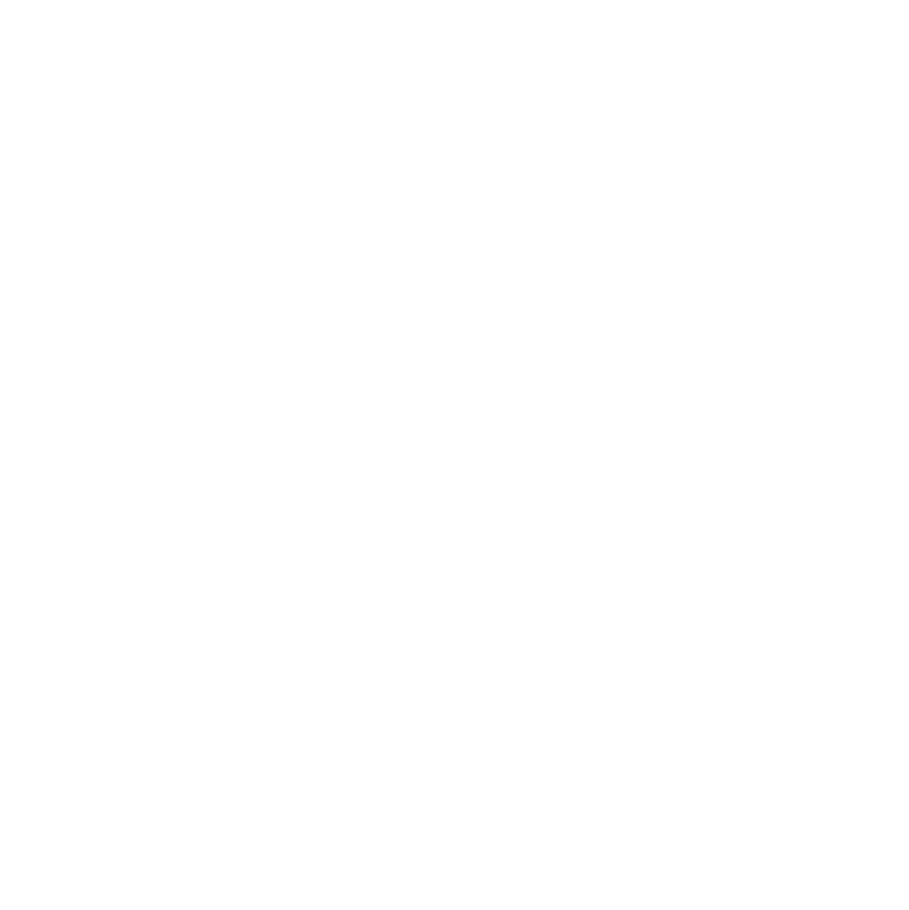 Logo Dick's autoschade