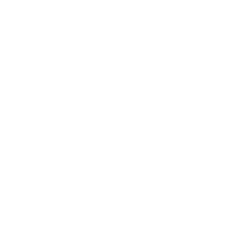 Logo Lensveld Logistics