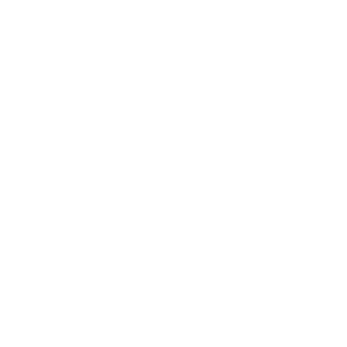 Logo Meerman Machines
