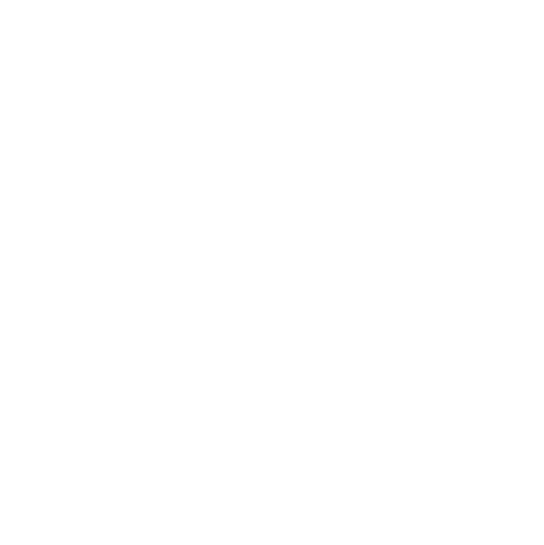 Logo Rook groep
