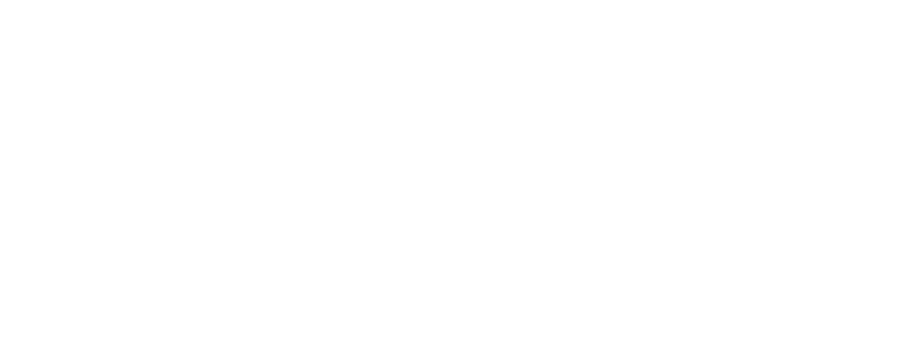 Logo Vlaardingen Partners
