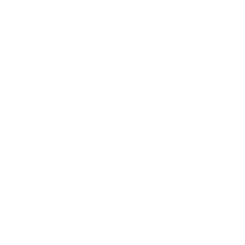 Logo Peitsman